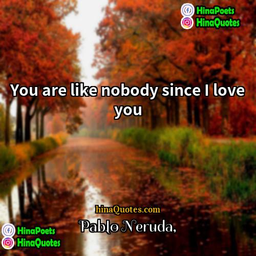 pablo neruda Quotes | You are like nobody since I love